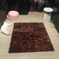 فرش آشپزخانه و اتاق خاب نو