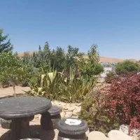 تور بانوان صدرا