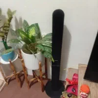 باند کوچک بلند