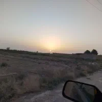 همخونه همخانه