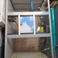 قفس بزرگ ۱۳۰ در۸۰