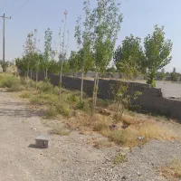 زمین حاشیه جاده قدیم|فروش زمین و ملک کلنگی|گلبهار, نوبهار|دیوار