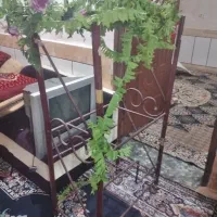 وسایل خانه|جواهرات|بندر ماهشهر, |دیوار