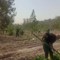 استخدام نیرو جهت کار در فضای سبز منطقه ۱۸ تهران