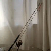 لنسر ماهی گیری