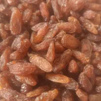 کشمش آفتابی مخصوص پذیرایی