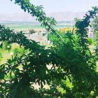 فروش باغ شهری|فروش آپارتمان|سیاخ دارنگون, |دیوار