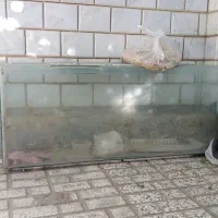 اکواریوم