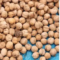 گردو درجه یک سفید تویسرکان
