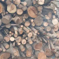 هیزم شومینه