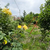 فروش زمین ۶۸۳ متری|فروش زمین و ملک کلنگی|آستارا, |دیوار