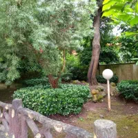 پارکویلای1700متری+فرنیشکامل+پلاکصفرجنگل+سندتکبرگ|فروش خانه و ویلا|نوشهر, |دیوار