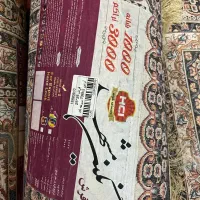 فرش|فرش|رفسنجان, |دیوار