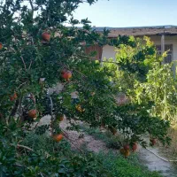 خونه‌باغ‌ویلایی