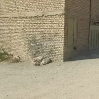 2500-متر-زمین-با-سند6-دانگ-قابل-معاوضه