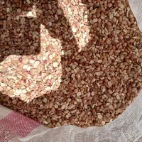 لوبیاچیتی لپه|خوردنی و آشامیدنی|شیراز, ده پیاله|دیوار