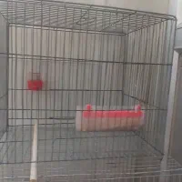 قفس پرنده
