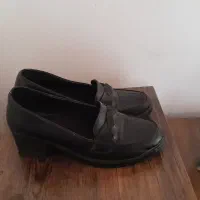 کفش زنانه|کیف، کفش، کمربند|رودسر, |دیوار