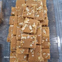 ابنبات شیری