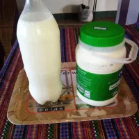 شیر محلی کیلوی 38 تومن دوغ محلی لاکی 25|خوردنی و آشامیدنی|گلوگاه بابل (گلیا), |دیوار