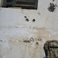 درب درب و پنجره چوب و فلزی نور انداز|حراج|بوشهر, |دیوار