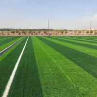 چمن زمین ورزشی و فوتبال|تجهیزات ورزشی|شیراز, گویم|دیوار