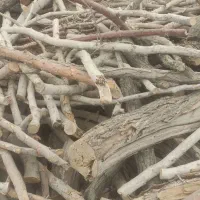 فروش چوب|خدمات باغبانی و درختکاری|شاهینشهر, خبرنگار|دیوار