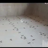 کاشی کاری|خدمات پیشه و مهارت|کارون, |دیوار