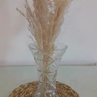 سینی سیلور و گلدون کریستالی نو