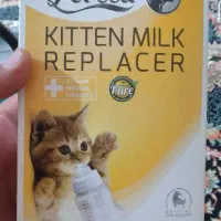 سرلاک بچه گربه