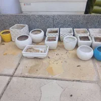 انواع گلدون