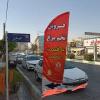 فروش تخم مرغ به قیمت عمده شانه ای165