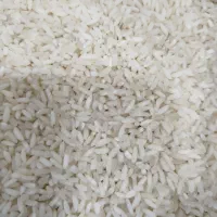 برنج هاشمی درجه یک.