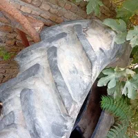 لاستیک شش سیلند