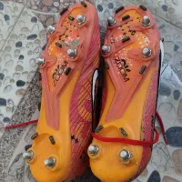 ...|کیف، کفش، کمربند|چرام, |دیوار
