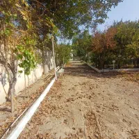 ۹۸۰متر/سندتک برگ/نامه جهاد/برق گازکنتر|فروش خانه و ویلا|تهران, یافت آباد جنوبی|دیوار