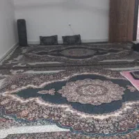 قالی ۱۲متری