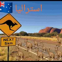 اقامت ویزا مهاجرت انگلیس کاناداعمان دبی شینگن|خدمات حمل و نقل|شیراز, قصرالدشت|دیوار