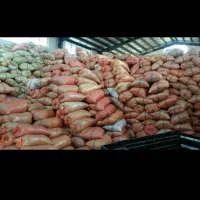 پوست بادام زمینی