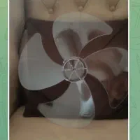 پروانه پنکه پارس خزر