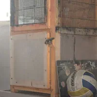 قفس دو طبقه مخصوص نگهداری پرنده در اپارتمان