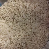 برنج محلی فروش فوری