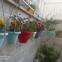 فروش-فوری-منزل-مسکونی-ویلای-باسندتک-برگ-بلوارمعلم