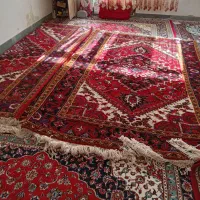 فرش دستباف ۶متری|فرش|خواجه, |دیوار