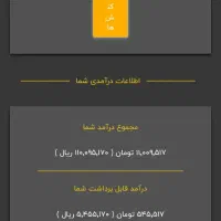 از وقت های خالیت کسب درآمد کن