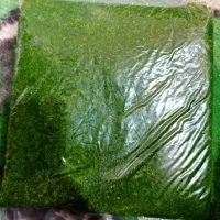 سبزی خاش