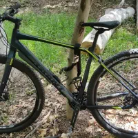 دوچرخه توریستی جاینت