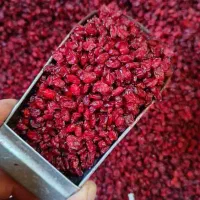 فروش زرشک دانه اناری