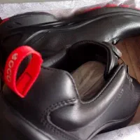 کفش اکو اورجینال نو|کیف، کفش، کمربند|تهران, امیریه|دیوار