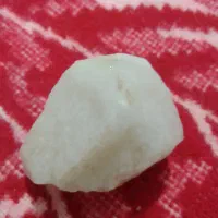 سنگ فسیل تزینی|کلکسیون اشیاء عتیقه|بروجرد, |دیوار